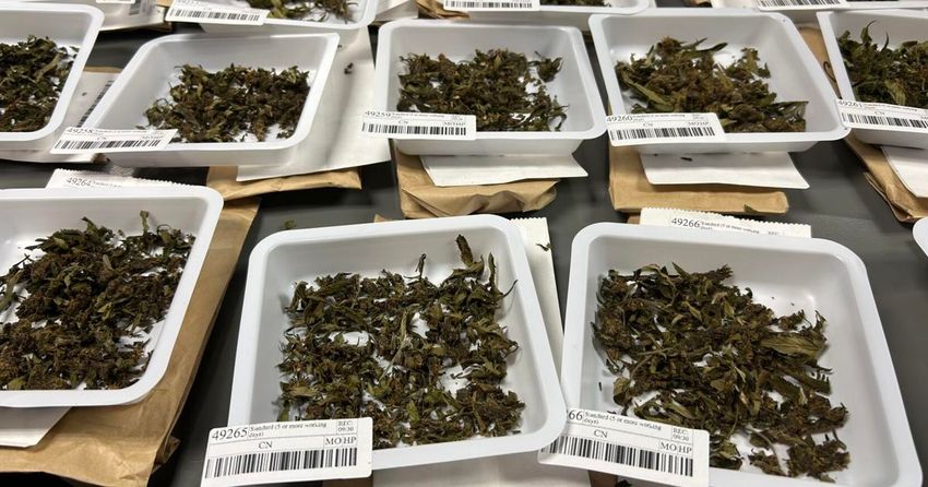 Medical cannabis access ‘very close’ as Kentucky awaits dispensary openings