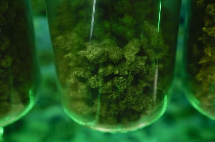 Seniors’ Pot Use Hits a New High