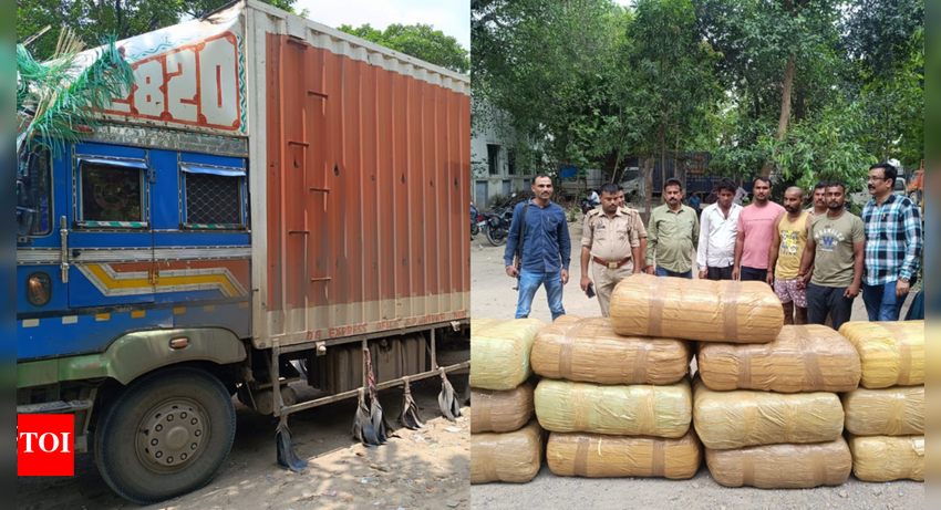 384kg ganja worth Rs 96 lakh seized in UP: STF busts inter-state drug racket, 3 held in Sultanpur