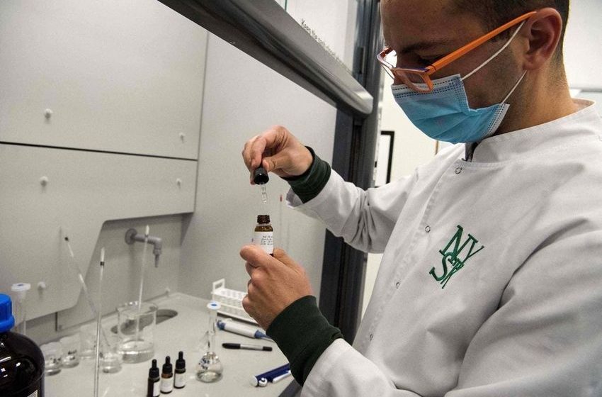 The Cannabis Industry Tries To Police Itself In California