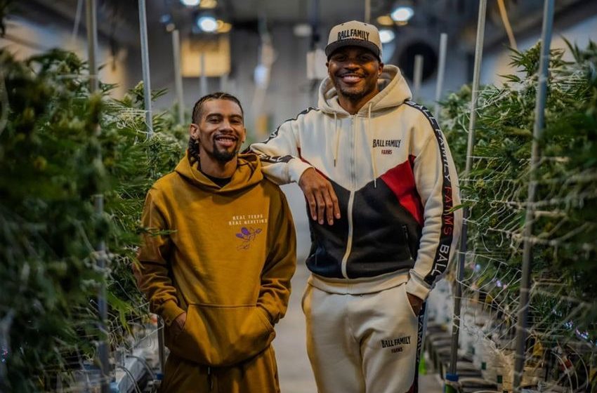 Democratizing Cannabis Production-Focused Programs – Ball Family Farms Debuts Rare Breeds Initiative (TrendHunter.com)