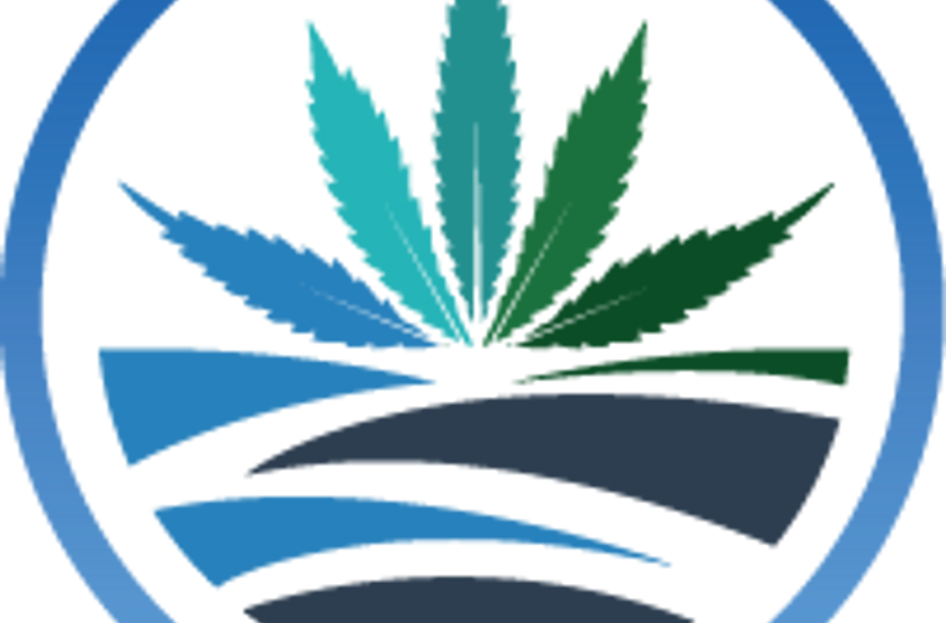 High Tide Inc (HITI) Q2 2025 Earnings Call Highlights: Record Revenue and Strategic Expansion …