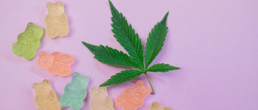 Weed Gummies: A Modern Take on Edible Cannabis Consumption