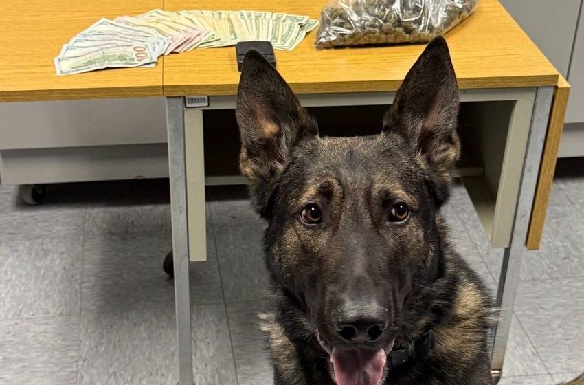  190+ grams of marijuana, nearly $1,500 cash found during traffic stop in Wisconsin