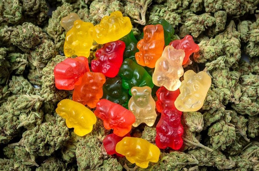  Republican Senators’ Bill Targets ‘Candy-Flavored’ Cannabis Edibles