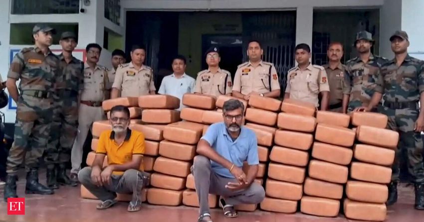 Delhi: Fugitive drug supplier wanted in 567 kg cannabis case arrested