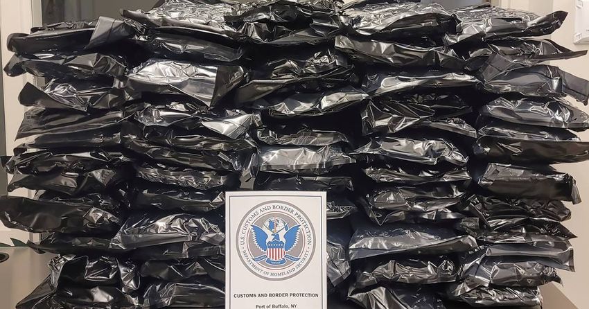 American busted with $300K of pot after wrong turn at U.S. border with Ontario
