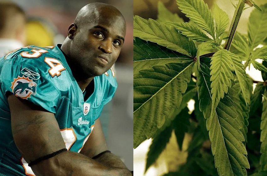 Dolphins icon Ricky Williams joins latest fight against THC ban in Texas