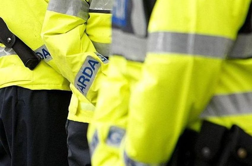 Gardaí seize €2m worth of cannabis during raid of a business in Dublin