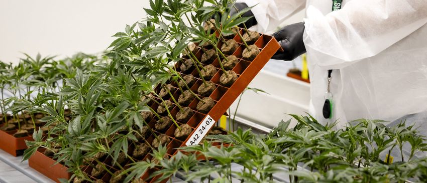  House Subcommittee Greenlights Bill That Could Upend Marijuana Industry