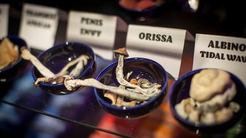 B.C. man acquitted of sexual assault after blaming ‘automatism’ on magic mushrooms