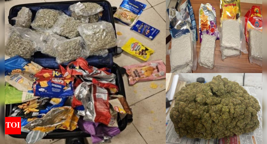 Chennai customs busted drug smuggling route, Sri Lanka as transit point for high-potency ganja; 2 held