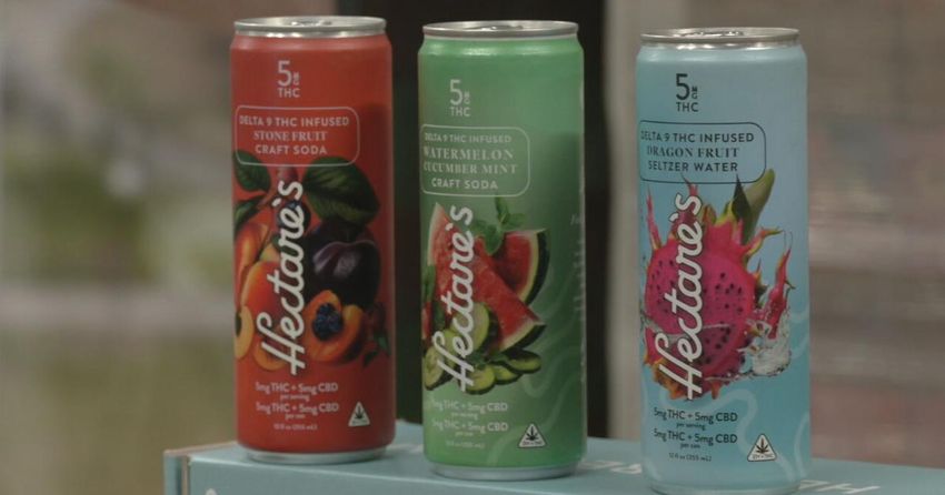 THC-infused drinks banned at Kentucky bars starting June 1