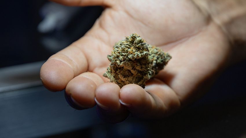 Calvert Health Officials Push For Action On Youth Cannabis Use, Mental Health – The BayNet