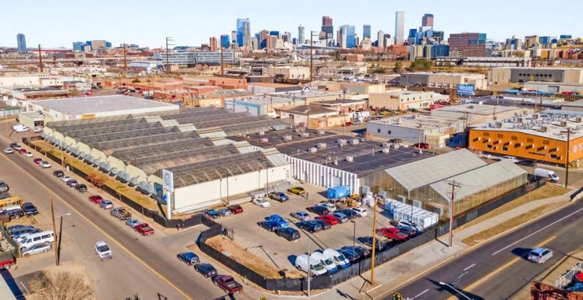 Green Dragon dispensary chain shuttering Denver grow facility