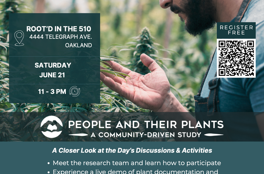 6/21/25: Legacy Cannabis Genetics: People and Their Plants, a Community-Driven Study – FREE