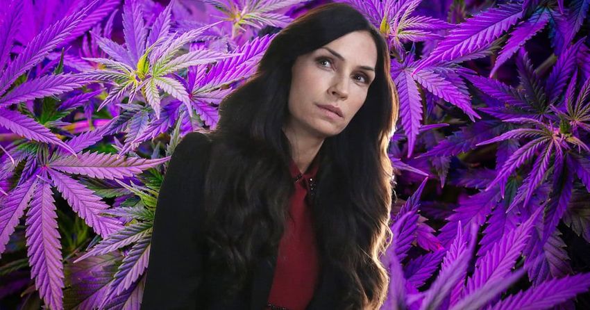 Famke Janssen to sit atop a throne made of hemp and high stakes for Netflix’s upcoming cannabis drama Amsterdam Empire