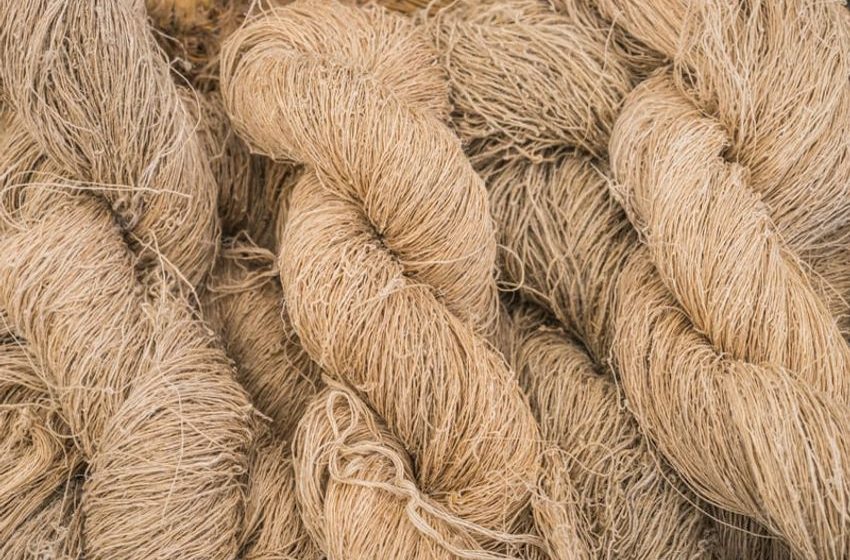 Hemp Refining Processes – Renaissance Fiber Receives an Investment to Scale Hemp Refinement (TrendHunter.com)