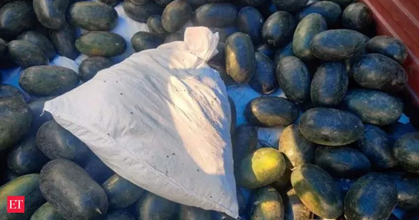  Packers and movers transport 108 kg ganja from Odisha to Nagpur in bank manager’s household goods