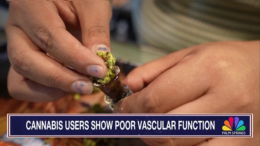 Study Warns: Cannabis May Harm Heart Health, Edibles Could Be Worse