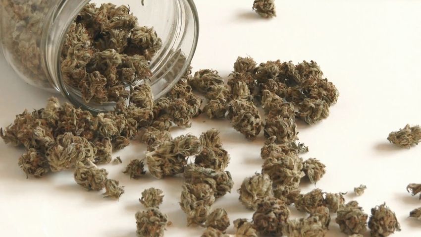  249 winners selected in Minnesota’s cannabis business license lottery