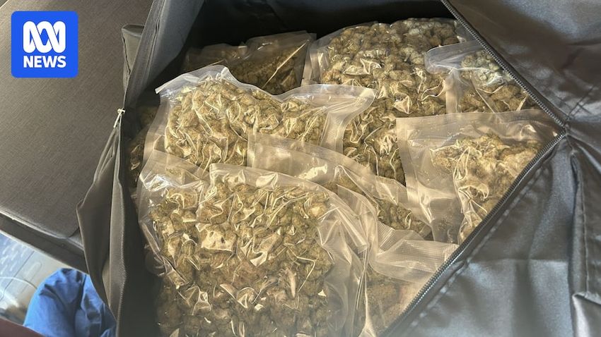 Police say 113kg drug bust ‘strikes at the heart’ of Vietnamese crime gang