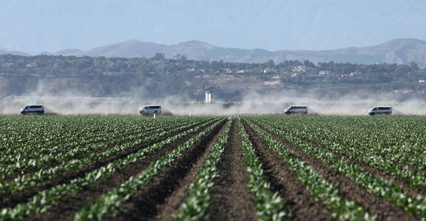  10 Unaccompanied Migrant Children Found at Marijuana Grow Sites