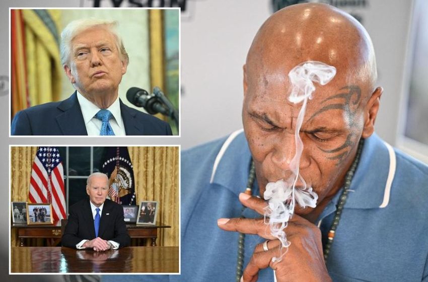  Mike Tyson urges Trump to deliver on cannabis reform after Biden’s ‘failed’ pledge: ‘Just ridiculous’