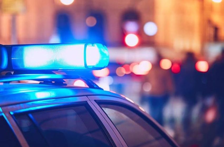  $3.6m cannabis plants seized in Tooradin