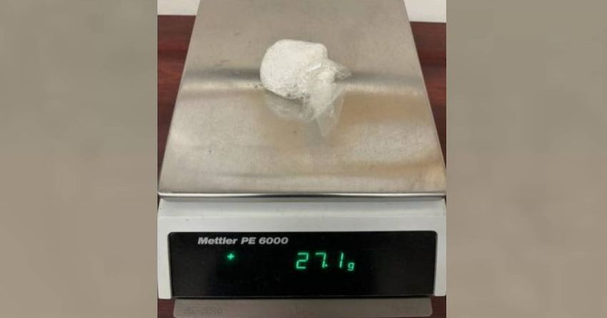 GA deputies smell marijuana during traffic stop, find meth instead