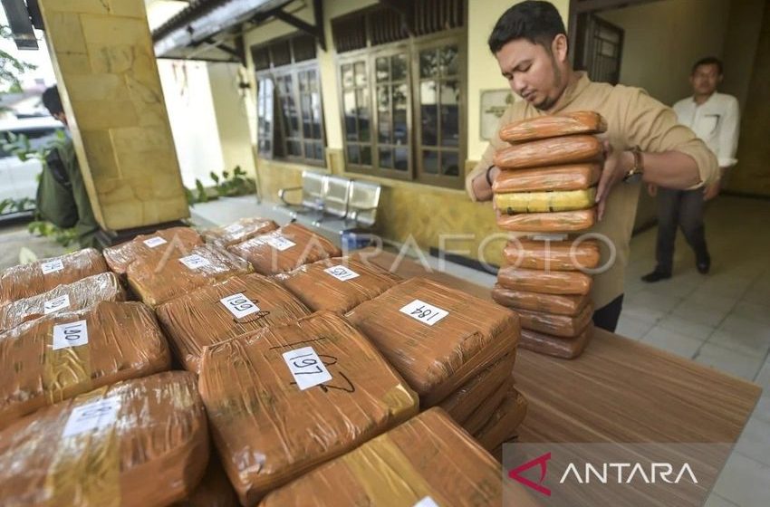 Jambi police seize 200 kg marijuana, arrest couriers