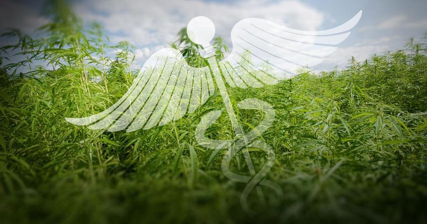New lawsuit challenges lottery process for Kentucky medical marijuana licenses