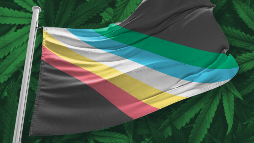  Honoring Cannabis Trailblazers in the Disability Community: A Disability Pride Month Reflection