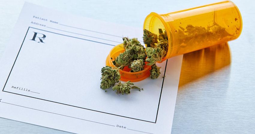 Concerns grow over transparency, legality of Kentucky’s medical marijuana rollout