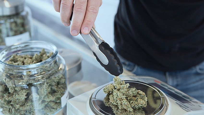 Delaware: Regulators Announce Adult Use Marijuana Sales to Begin Next Month