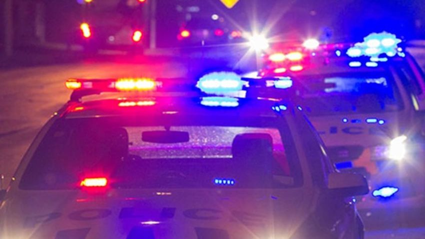 Tauranga traffic stop reveals firearms and drugs