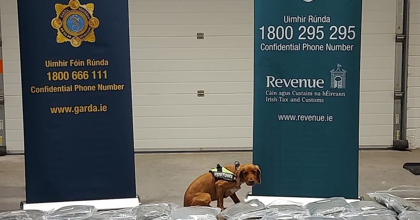 Man arrested as herbal cannabis valued at more than €2m seized at Cork port