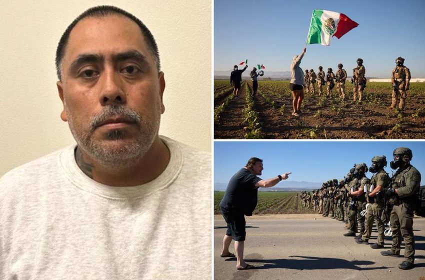 Child predator among more than 300 arrested during ICE raid on Calif. cannabis farm