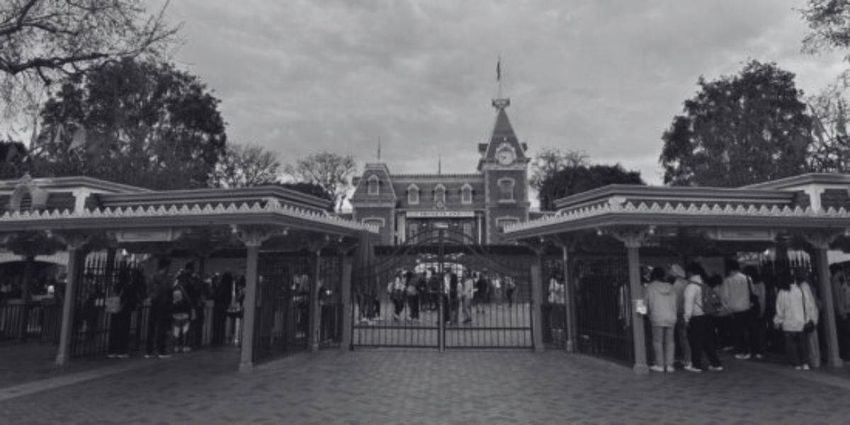 Guest Banned from Disney After Failing to Smuggle Drugs In