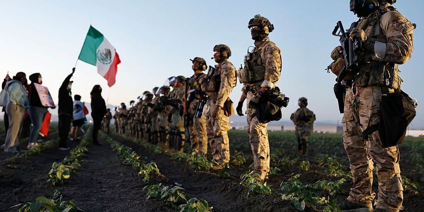 California marijuana farm raids recover 10 children after 300,000 unaccompanied minors vanished on Biden’s watch