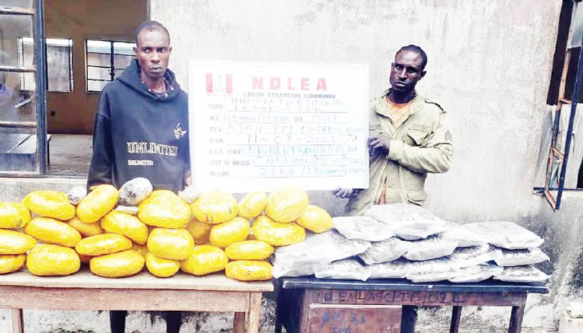 Drug kingpin nabbed as NDLEA uncovers drugs hidden in microwaves