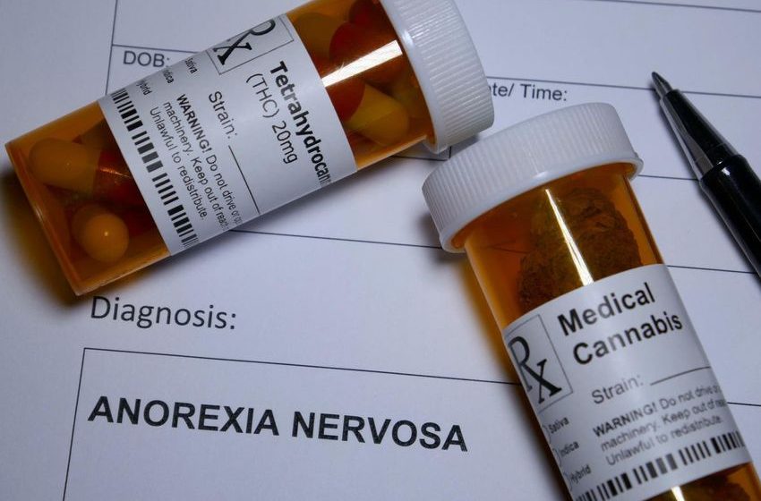  Cannabis And Psychedelics Seen As Effective For Eating Disorders, Study Finds