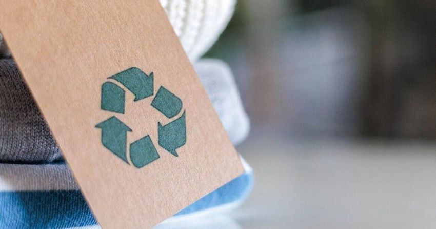  How small businesses are shaping the future of sustainable innovation