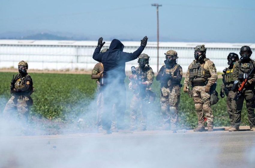 There are many illegal marijuana farms, but federal agents targeted California’s biggest legal one