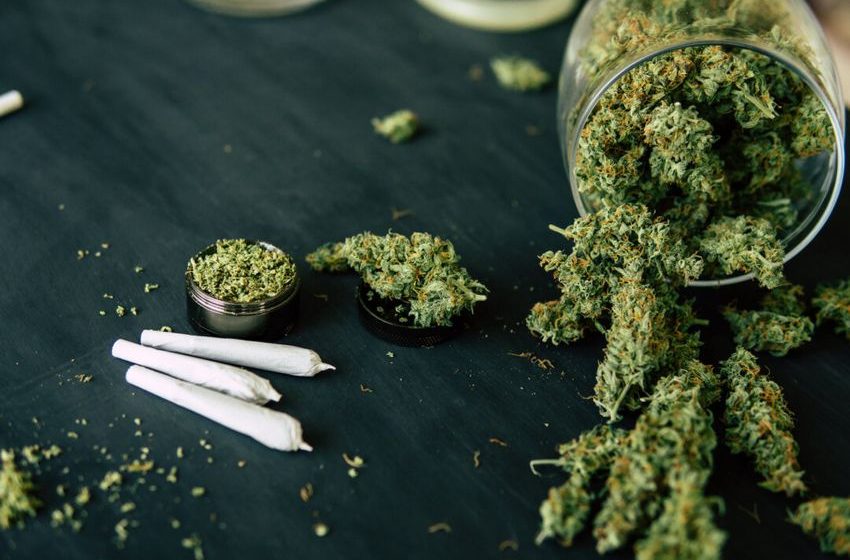  Cannabis Users Face Up to 5-Fold Higher Risk of Benign Mouth Tumors