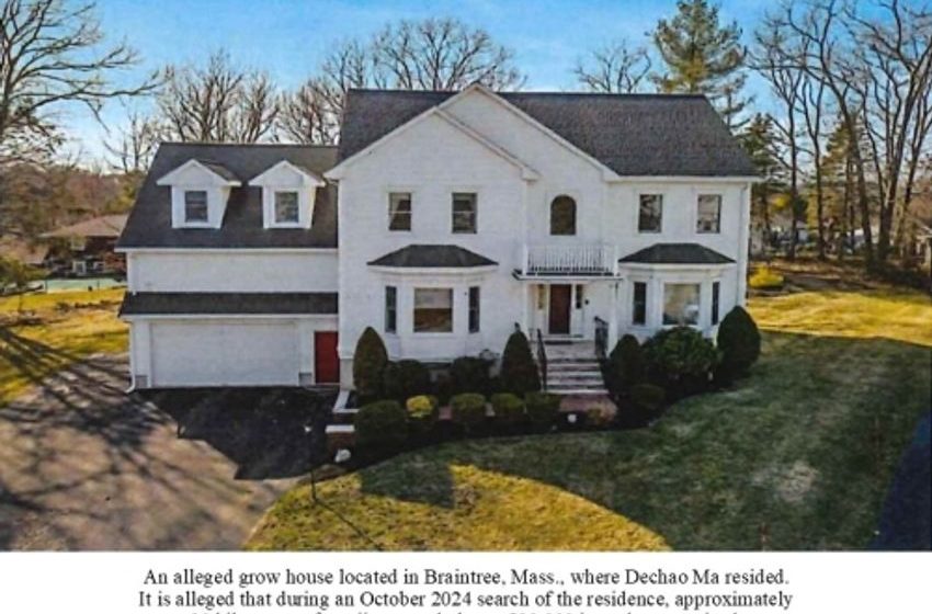 Feds take down Chinese-operated grow home network in Massachusetts, Maine