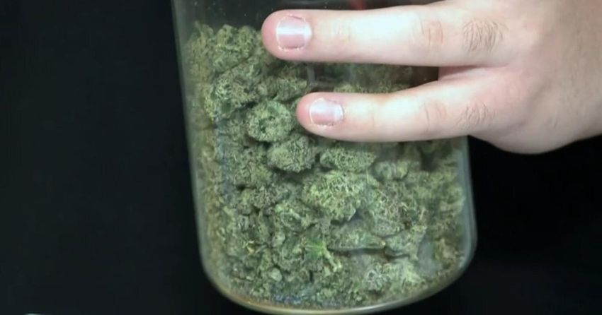  Texas lawmakers going after hemp again after governor’s veto