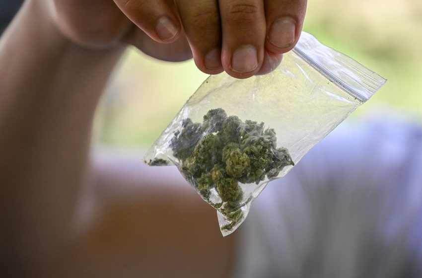 Marijuana Could Break Your Heart—Literally | Opinion
