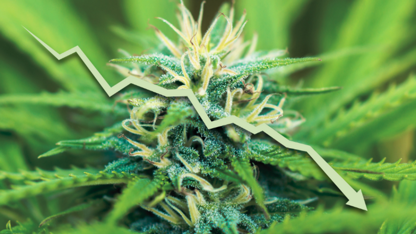 Pew Poll: Few Americans Support Feds’ Blanket Prohibition of Marijuana