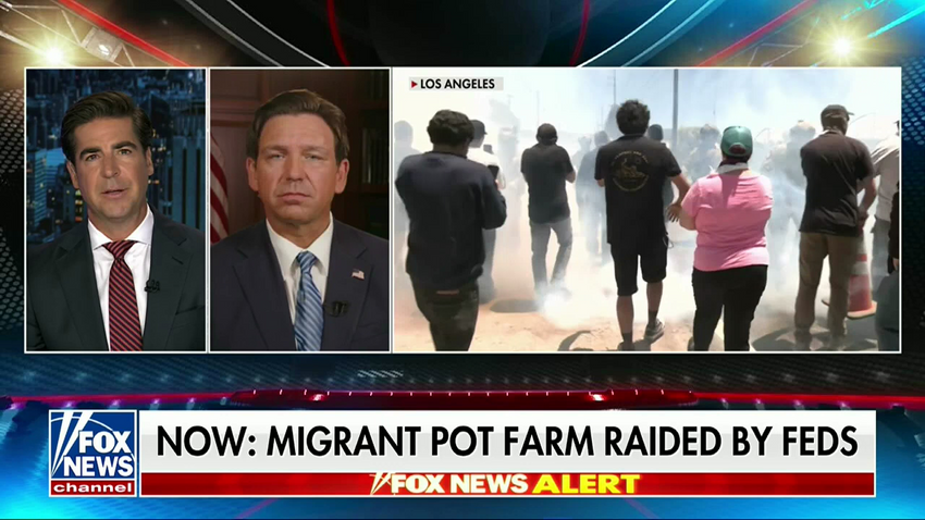  Fox’s Watters Wants ICE Agents To ‘Knock Some Heads Together’